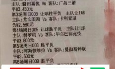 开云官网-霍芬海姆队员表现出色，擒获对手