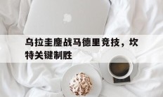 开云下载-乌拉圭鏖战马德里竞技，坎特关键制胜的简单介绍