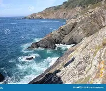 费罗尔的困境之路：球队寻找新的突破口