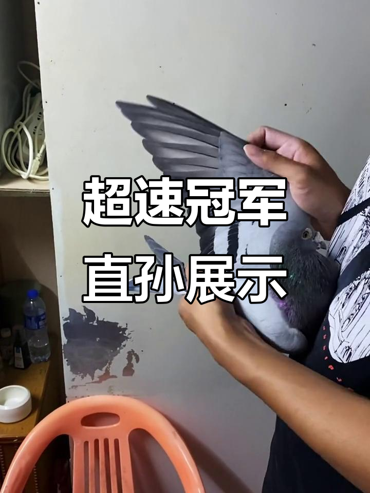 零失球胜利！柏林赫塔击败欧洲冠军，展现实力