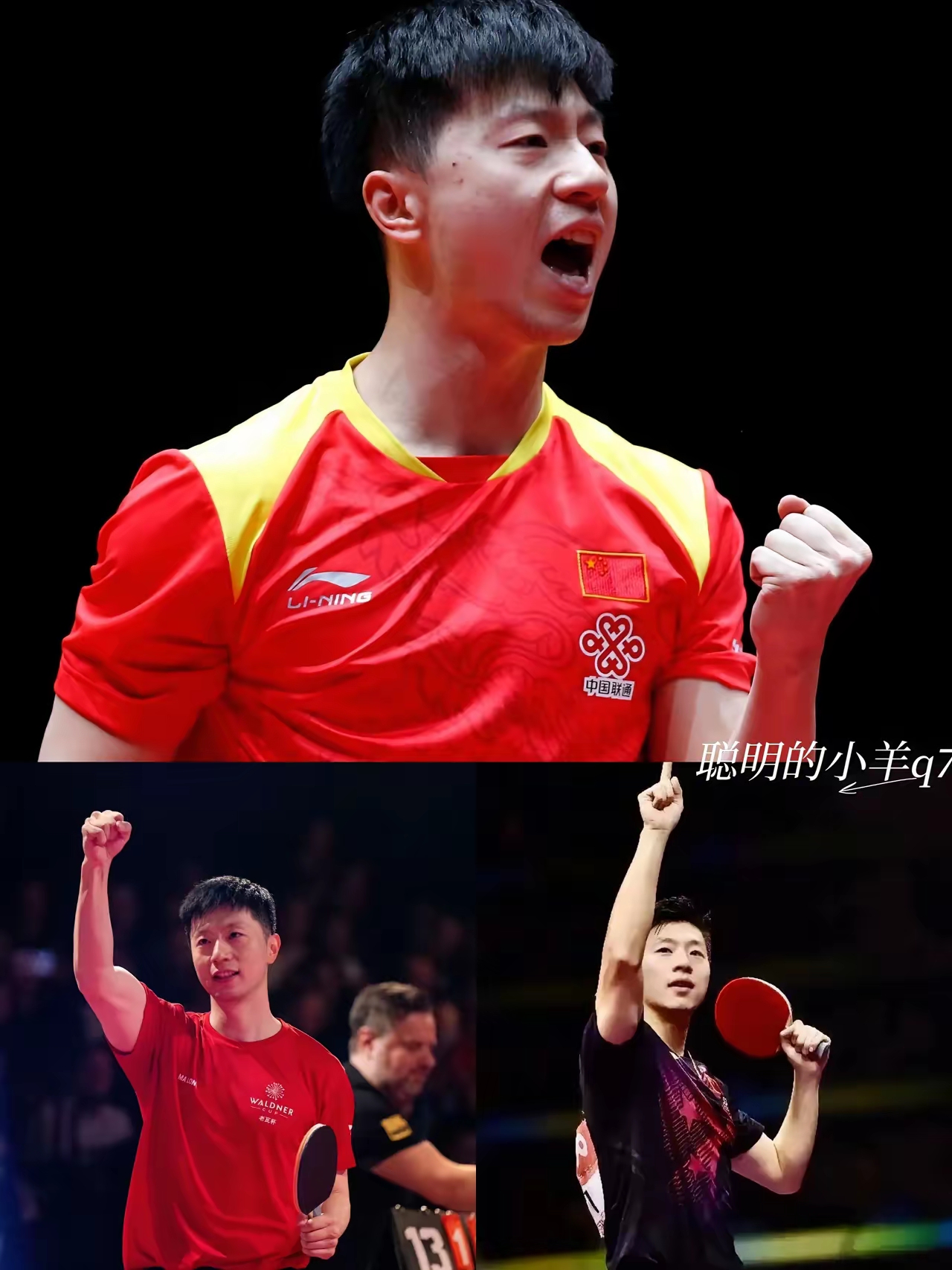 挑战自我：运动员们为荣誉而战的简单介绍