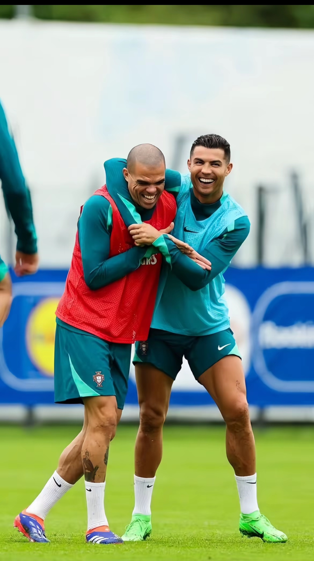 法国vs荷兰，豪情万丈决战谁能笑到最后？