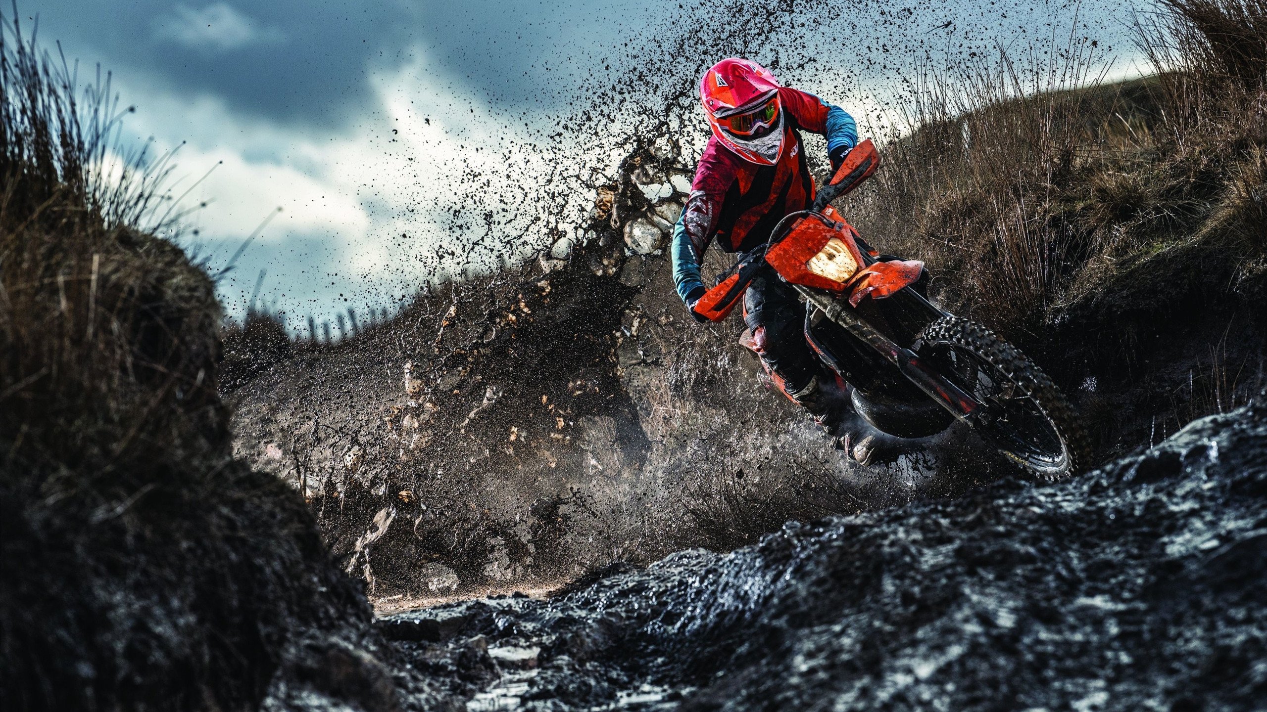 美网完胜温网，阿尔卡拉斯用硬地交响乐，终结了温网的田园诗