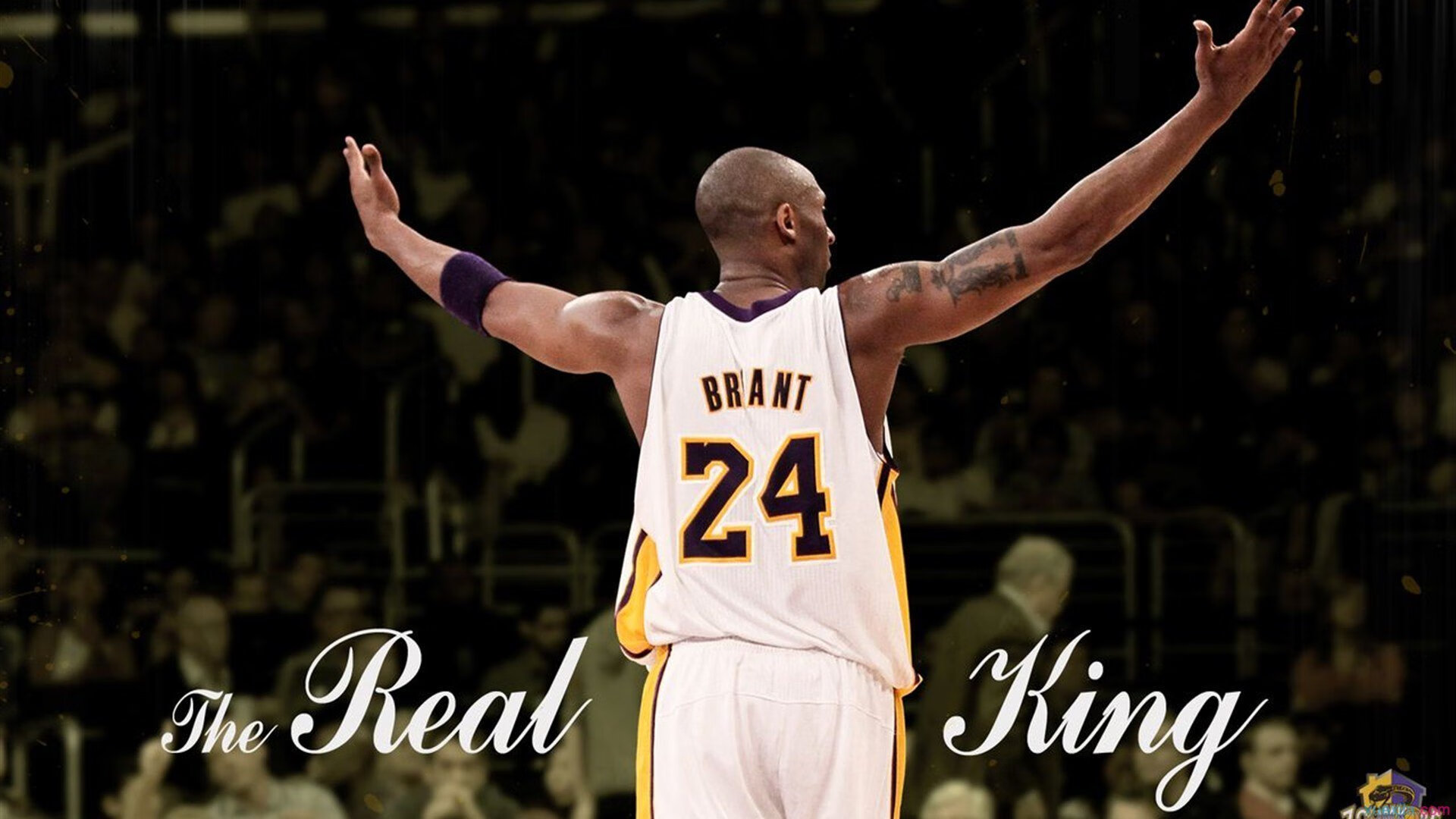 一个人的军团，总决赛战场，德约科维奇如何独自擎起全队旗帜